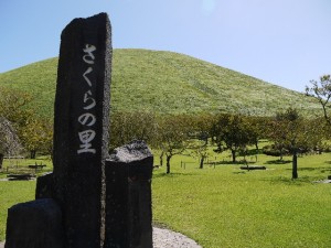 伊豆高原 桜の里