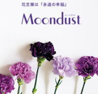 母の日 プレゼント 花 ムーンダスト