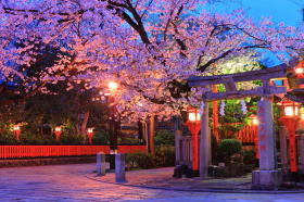 祇園新橋白川