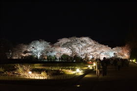 京都府立植物園