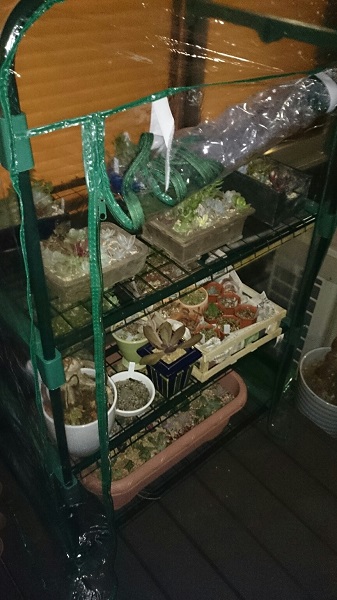 風通し