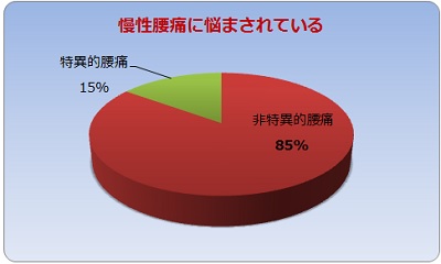 慢性腰痛に悩まされている割合